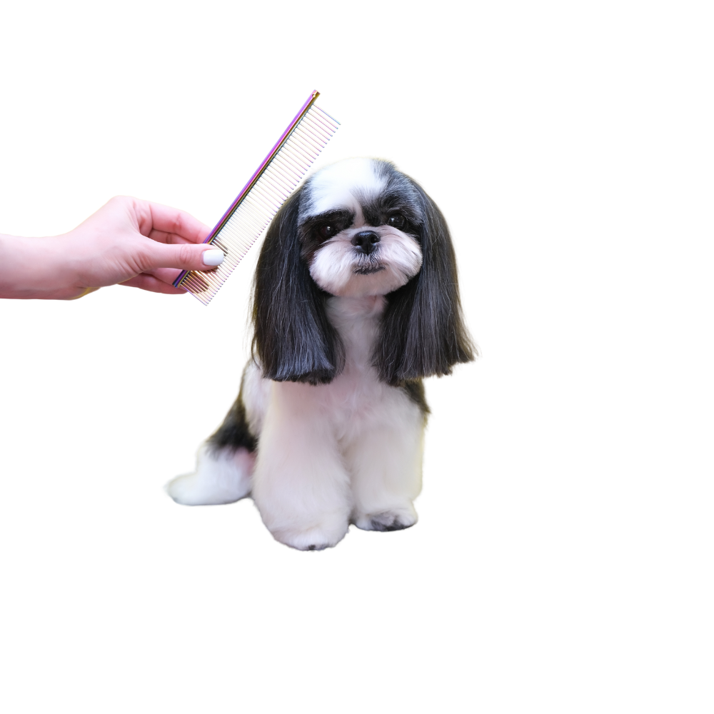 How to Prepare Your Pet for Their First Mobile Grooming Session in Sunrise, FL